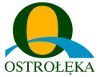 logo Miasta Ostrołęki